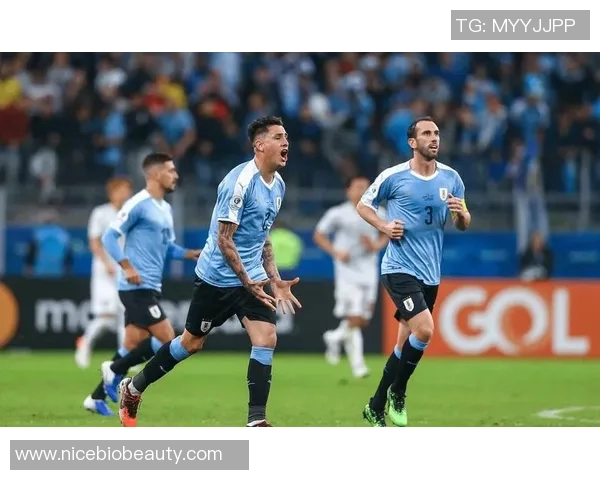 乌拉圭男篮对决日本男篮精彩赛事回顾与分析